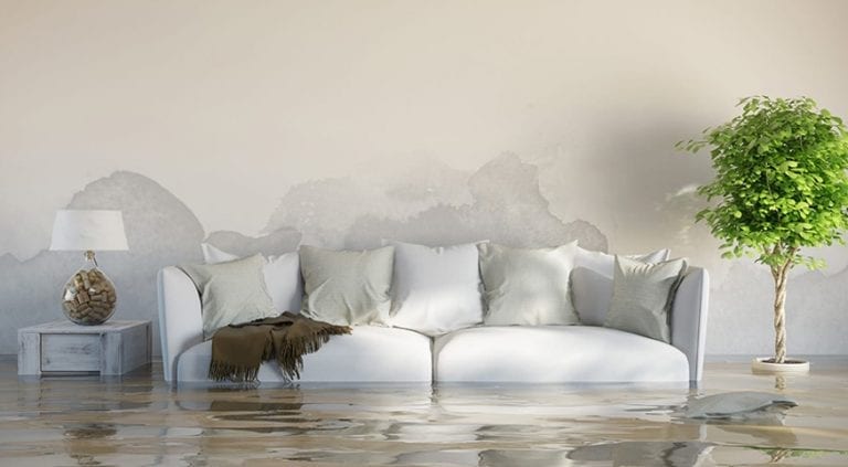 Water Damage Restoration